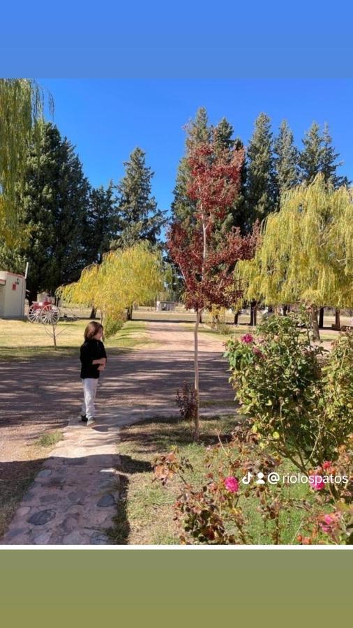 Rio Los Patos Barreal Dış mekan fotoğraf