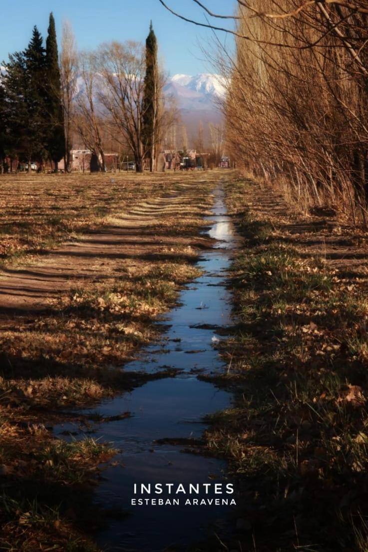 Rio Los Patos Barreal Dış mekan fotoğraf
